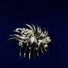 Broche Con Brillantes 0.70 Cts Montados En Oro Blanco De Ley 18Kts | Joyería Finarte New